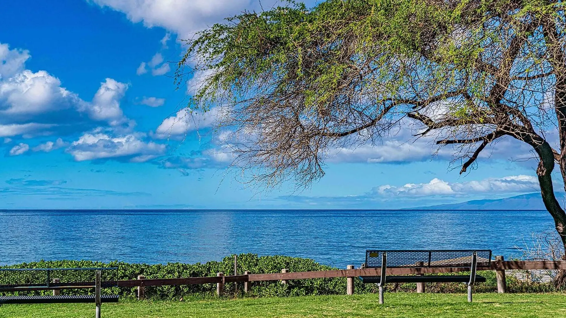 Kamaole Sands 4-306 - New Kitchen & Bathrooms, Ac! Wailea  Wailea (Maui)